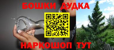 гидра Можга