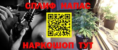 гидра Можга