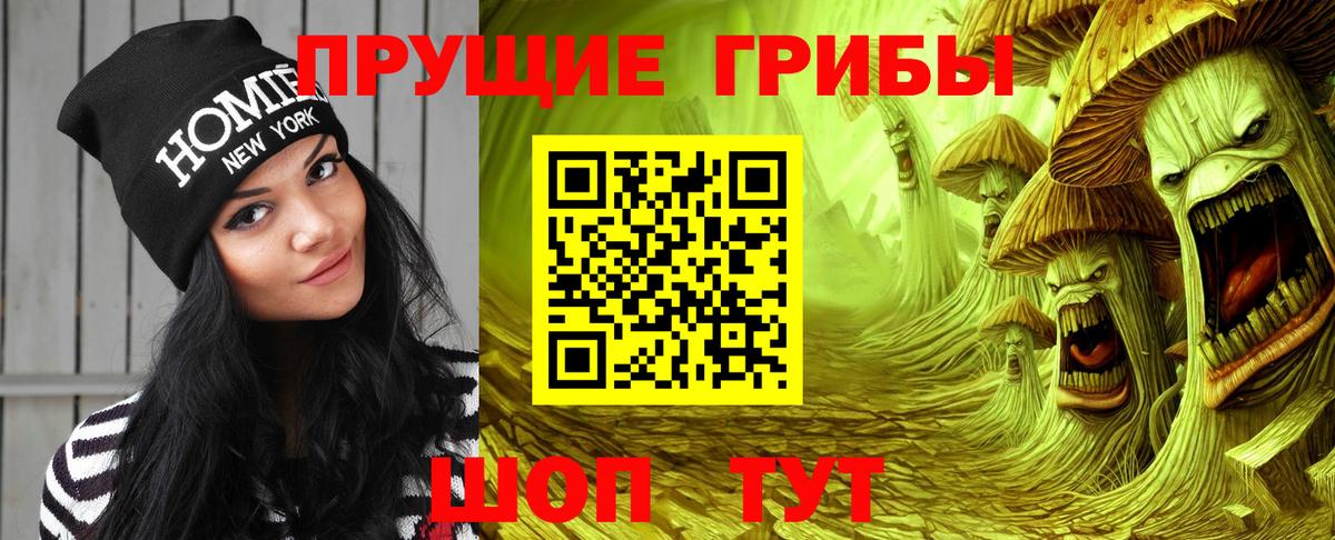 Белореченск  Галлюциногенные грибы прущие грибы  Вход с VPN 