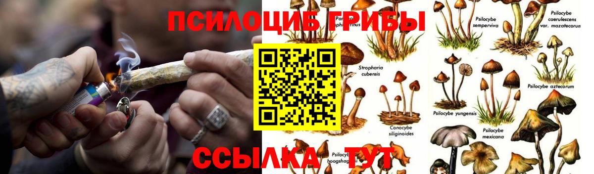 Псилоцибиновые грибы GOLDEN TEACHER Белореченск